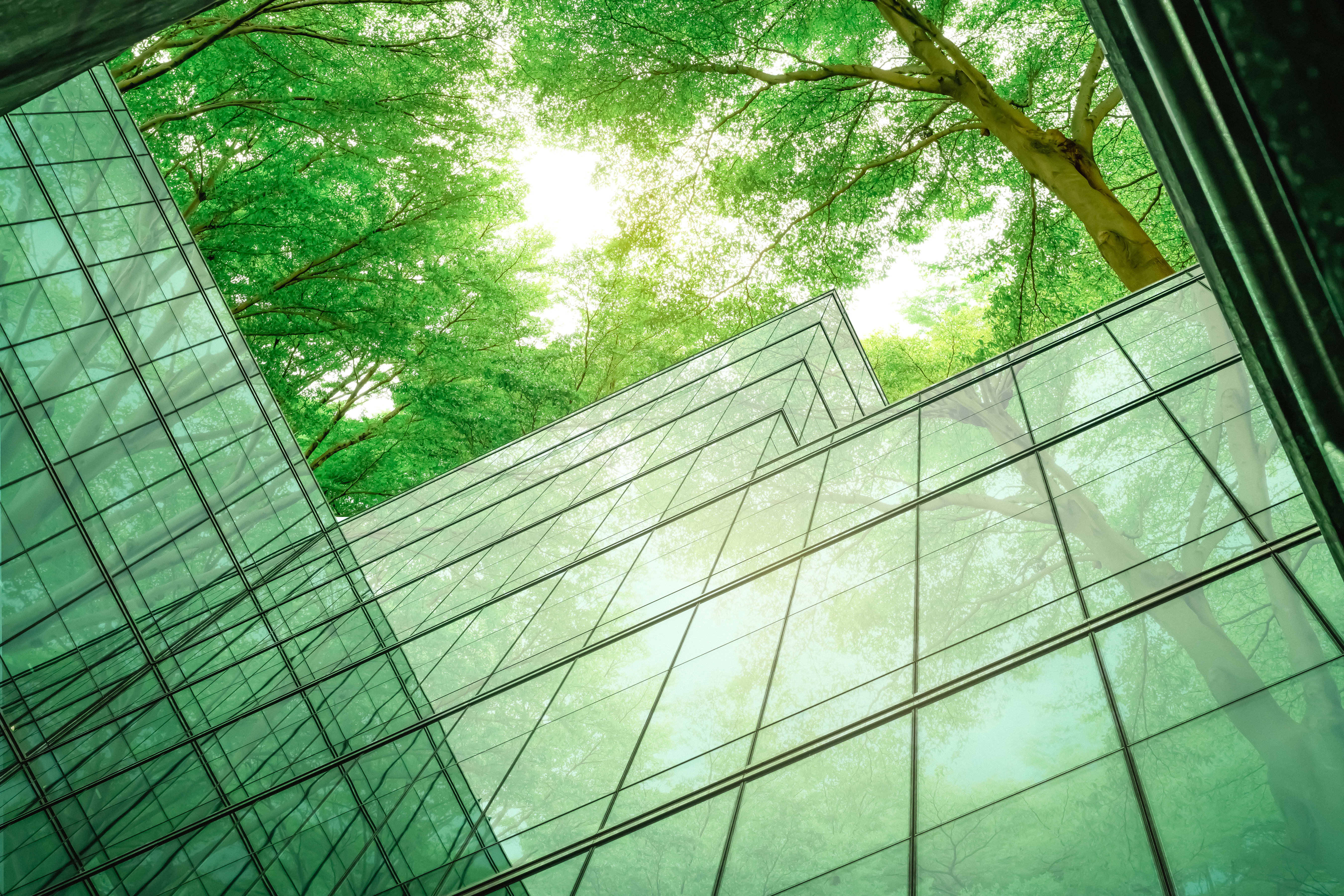 Sustainability VISTA 
